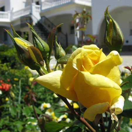 Residencia Quinta Do Poco Guesthouse Сагреш Экстерьер фото